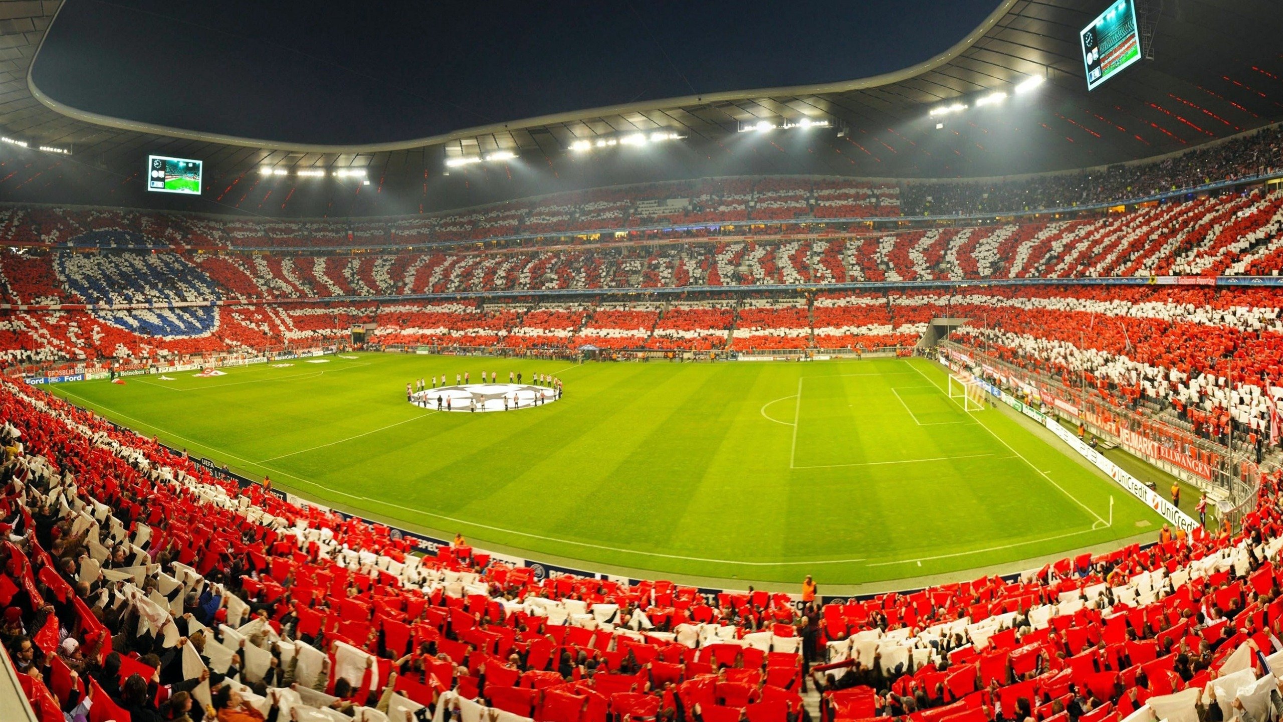 开云足球直播-沸腾的戈壁,当迈阿密热浪横扫天山雪豹